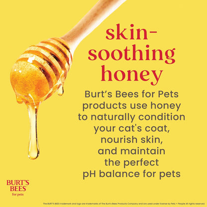 Burts Bees for Pets Tearless Kitten Shampoo with Buttermilk, 10 Fl Oz | 99% Natural Origin Formula for Sensitive, Itchy Skin, Ph-Balanced and Fragrance-Free for Kittens