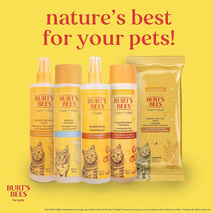Burts Bees for Pets Tearless Kitten Shampoo with Buttermilk, 10 Fl Oz | 99% Natural Origin Formula for Sensitive, Itchy Skin, Ph-Balanced and Fragrance-Free for Kittens