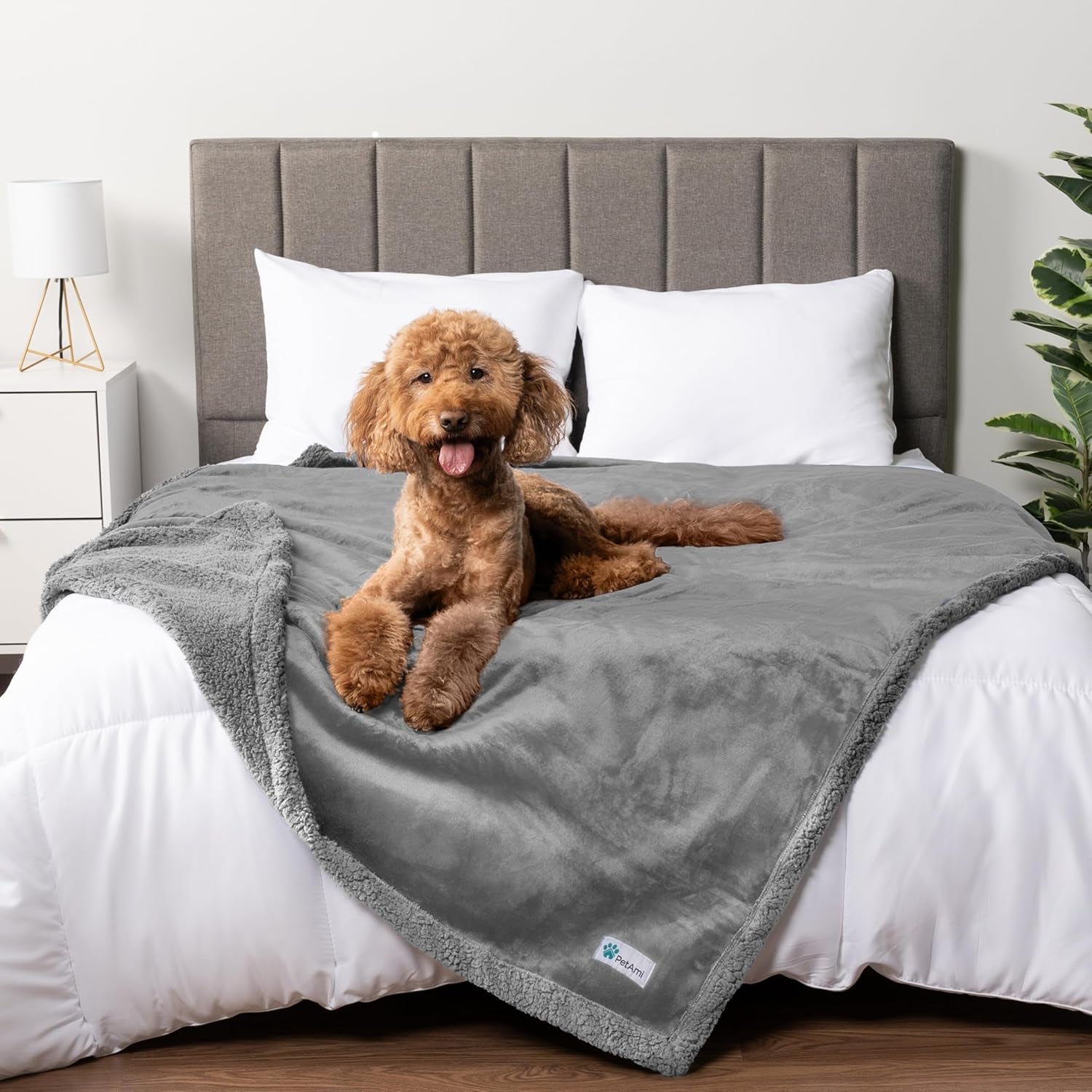 Waterproof Dog Blanket for Large Dog Pet, 90X90 Queen, Light Grey | 460 GSM Sherpa Fleece Reversible, Pee Proof Cat Blanket, Furniture Protector Cover for Bed Sofa Kennel, Washable, Queen Size