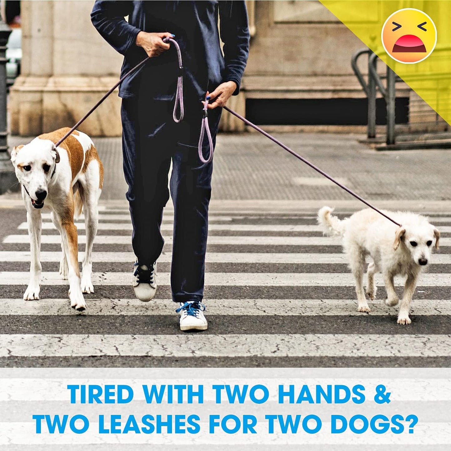 Double Dog Leash Splitter, Tangle Free Dual Dog Leash Coupler, Two Dog Walking and Training Extension for Small Medium or Large Dogs (1.0'' X 20~32 Inch, Pink)