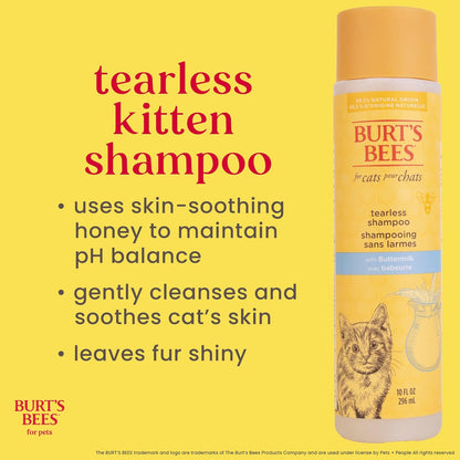 Burts Bees for Pets Tearless Kitten Shampoo with Buttermilk, 10 Fl Oz | 99% Natural Origin Formula for Sensitive, Itchy Skin, Ph-Balanced and Fragrance-Free for Kittens